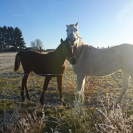 Riemer アパート Garz (Usedom)